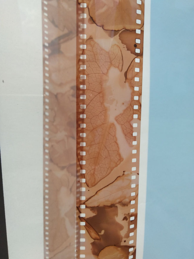 workshop_Film_Gallery